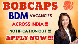 BOB Capital BDM (Off Roll) Recruitment 2026 – Apply Online for 103 Posts - jobcareer.co.in